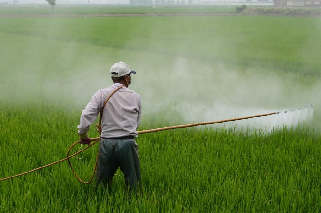 pesticidas en fruta y verdura